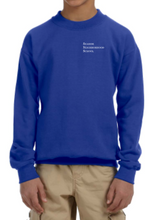 Load image into Gallery viewer, Youth Seaside Neighborhood School Crewneck Sweatshirt
