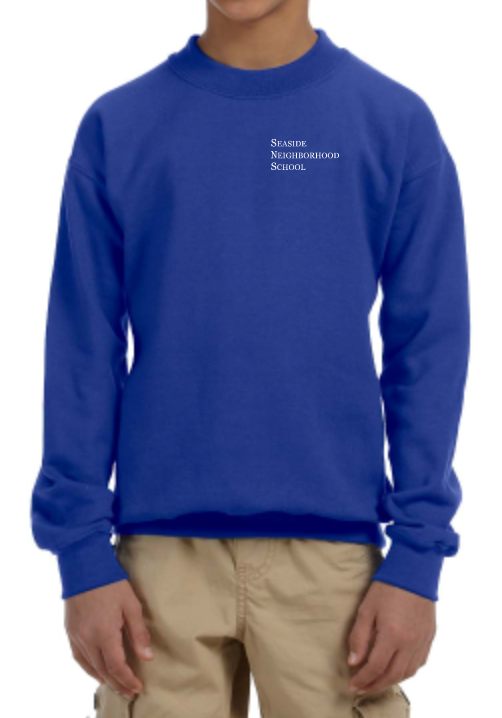Youth Seaside Neighborhood School Crewneck Sweatshirt